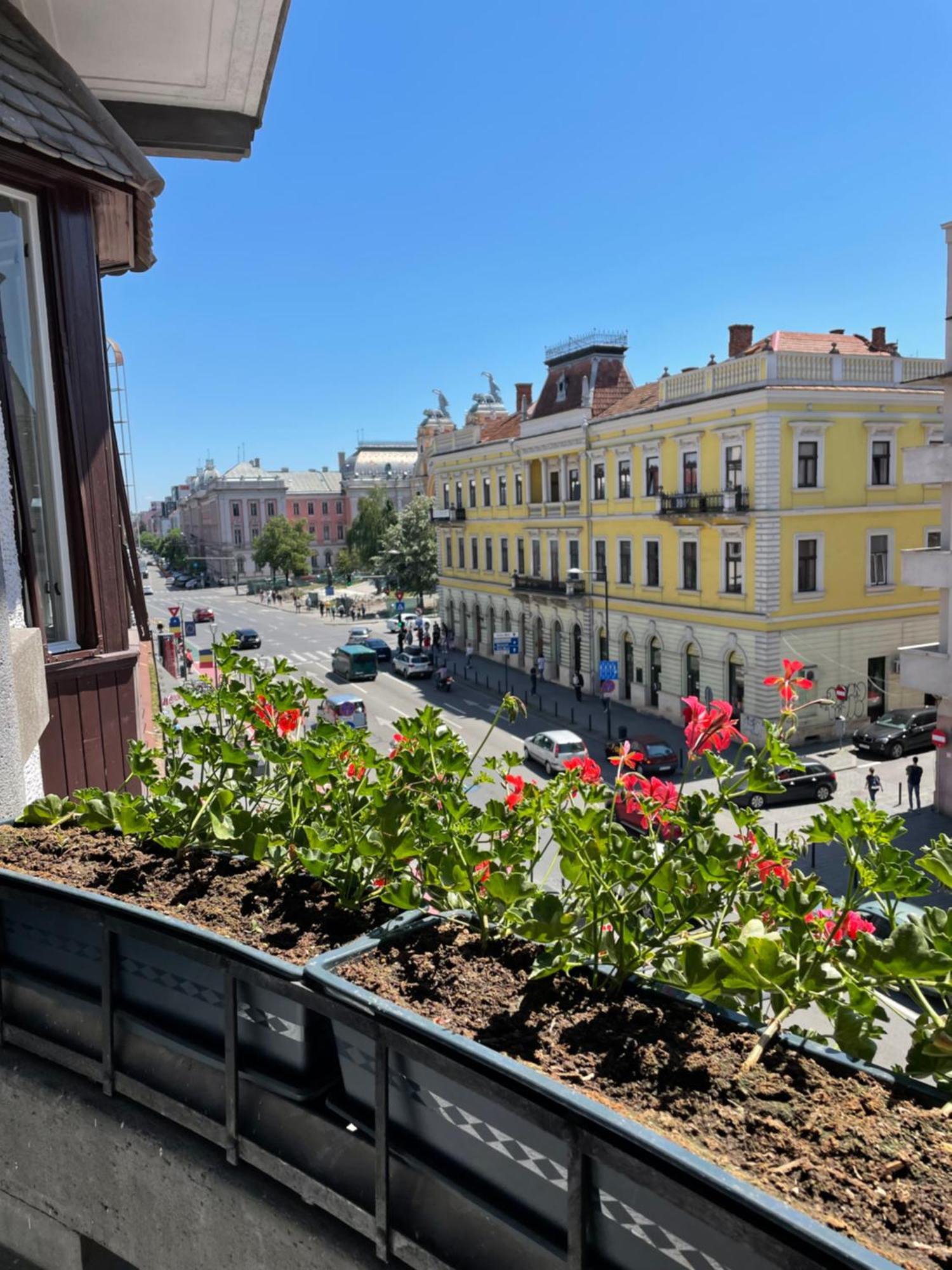 Littleparis Leilighet Cluj-Napoca Eksteriør bilde